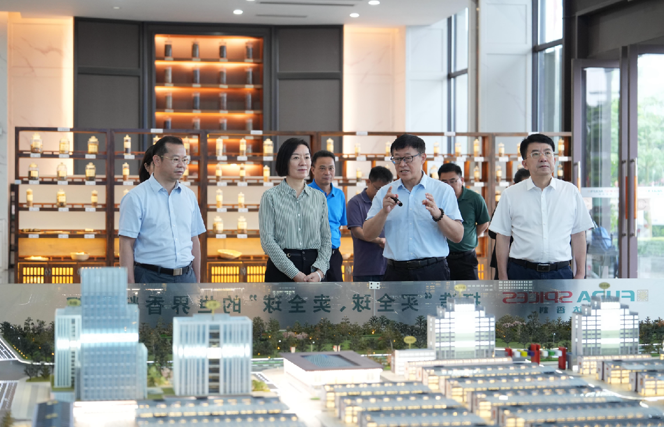 广西壮族自治区党委常委、自治区副主席卢新宁到玉林福达国际香料物流港调研